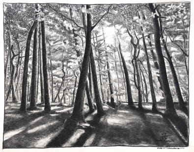 wald